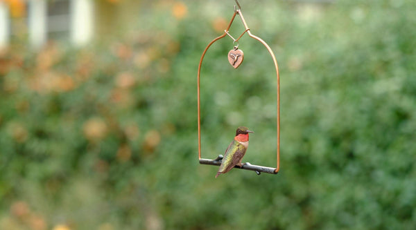 Where to Hang a Hummingbird Swing: Placement Guide