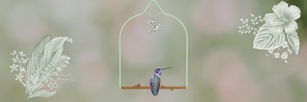 Pop's Birding Hummingbird Swing Collection