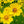 Load image into Gallery viewer, Single 3 Pack 12 Pack