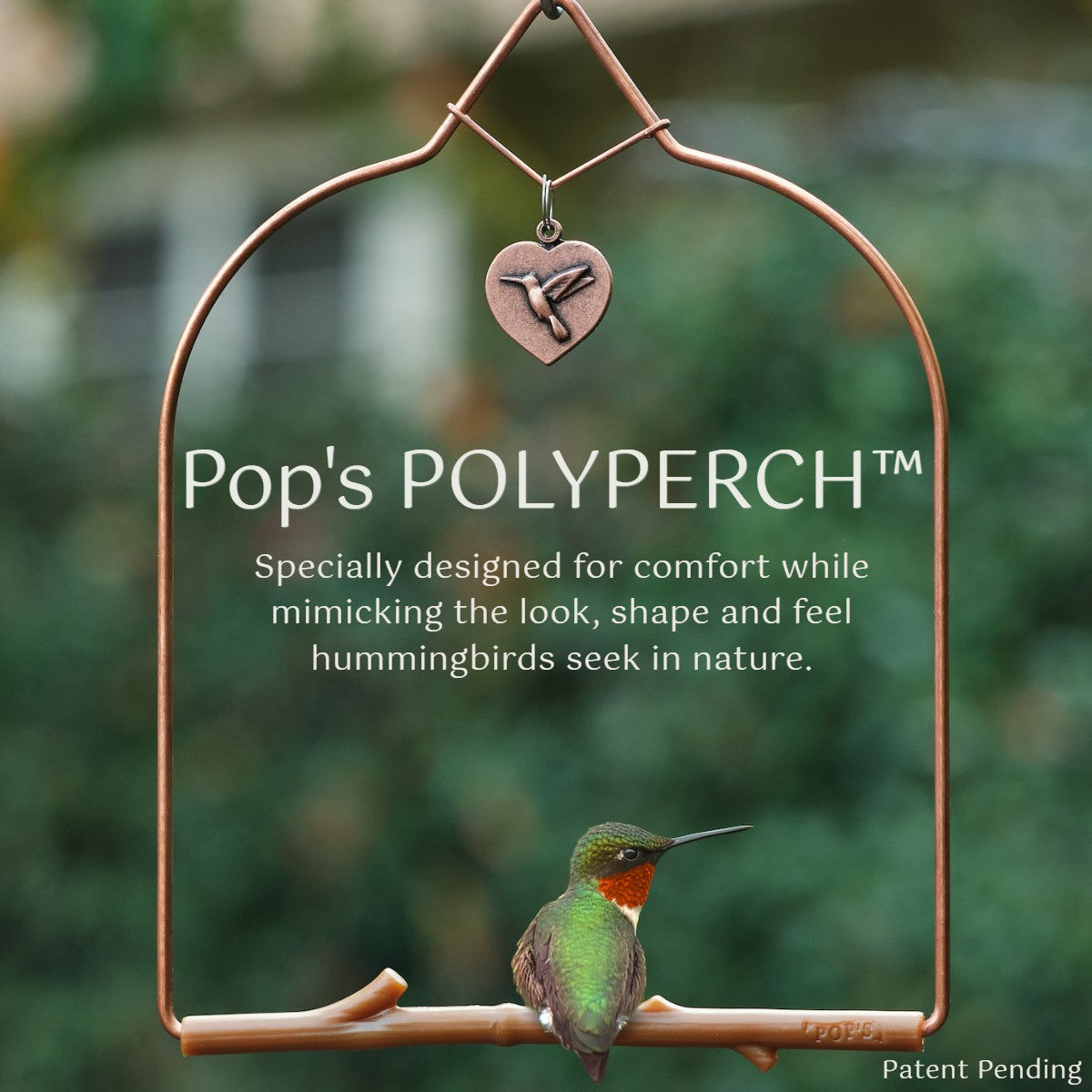 Hummingbird Harvest Bundle