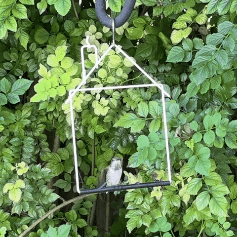 A hummingbird perched on the white Craft Series house swing, hanging among green leaves