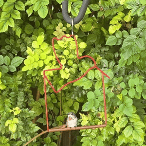 Pop's Birding - Craft Hummingbird Swing, Bird (Case of 12ct) - Case Pack (12ct)