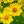 Load image into Gallery viewer, Single 3 Pack 12 Pack