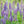 Load image into Gallery viewer, Single 3 Pack 12 Pack