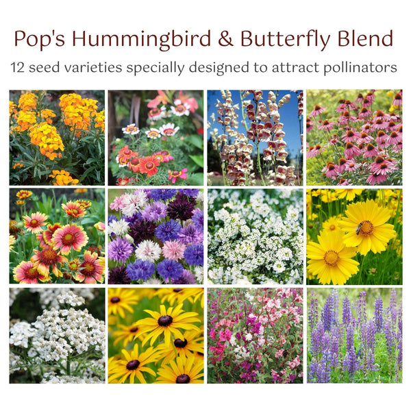 Pop's Birding - Pop's® Perfect Little Sanctuary® Wildflower Seed Blend, Hummingbird & Butterfly, 400mg - Single