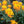 Load image into Gallery viewer, Single 3 Pack 12 Pack