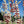 Load image into Gallery viewer, Single 3 Pack 12 Pack
