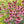 Load image into Gallery viewer, Single 3 Pack 12 Pack