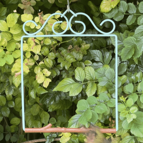 Seafoam-green patina Original swing hanging among green leaves as a hummingbird flies in
