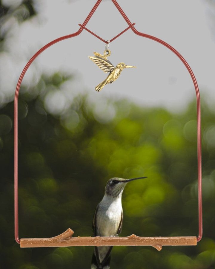 A hummingbird perched on a Pop's Charm Series swing in Redwood in Atlanta, Georgia