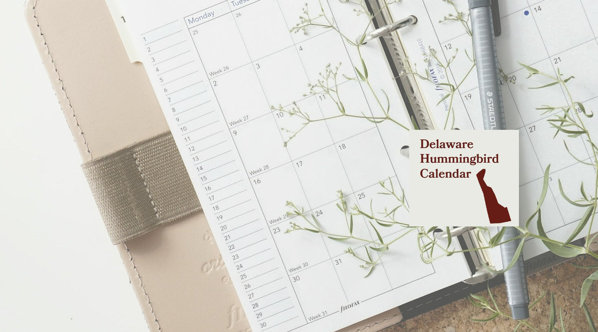 Delaware Hummingbird Season: A Month-by-Month Calendar