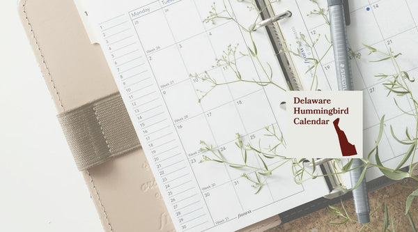 Delaware hummingbird calendar from Pop's Birding: when hummingbirds arrive and leave Delaware, month by month.