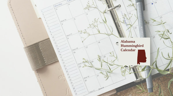Alabama Hummingbird Season: A Month-by-Month Calendar