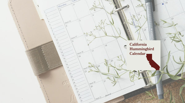 California Hummingbird Season: A Month-by-Month Calendar