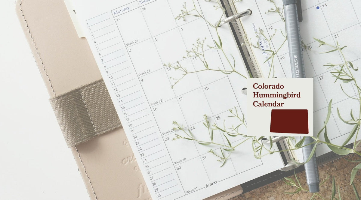 Colorado Hummingbird Season: A Month-by-Month Calendar