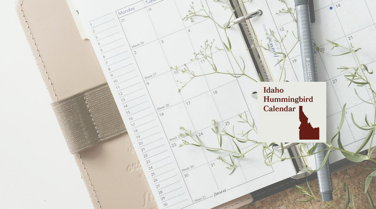 Idaho Hummingbird Season: A Month-by-Month Calendar