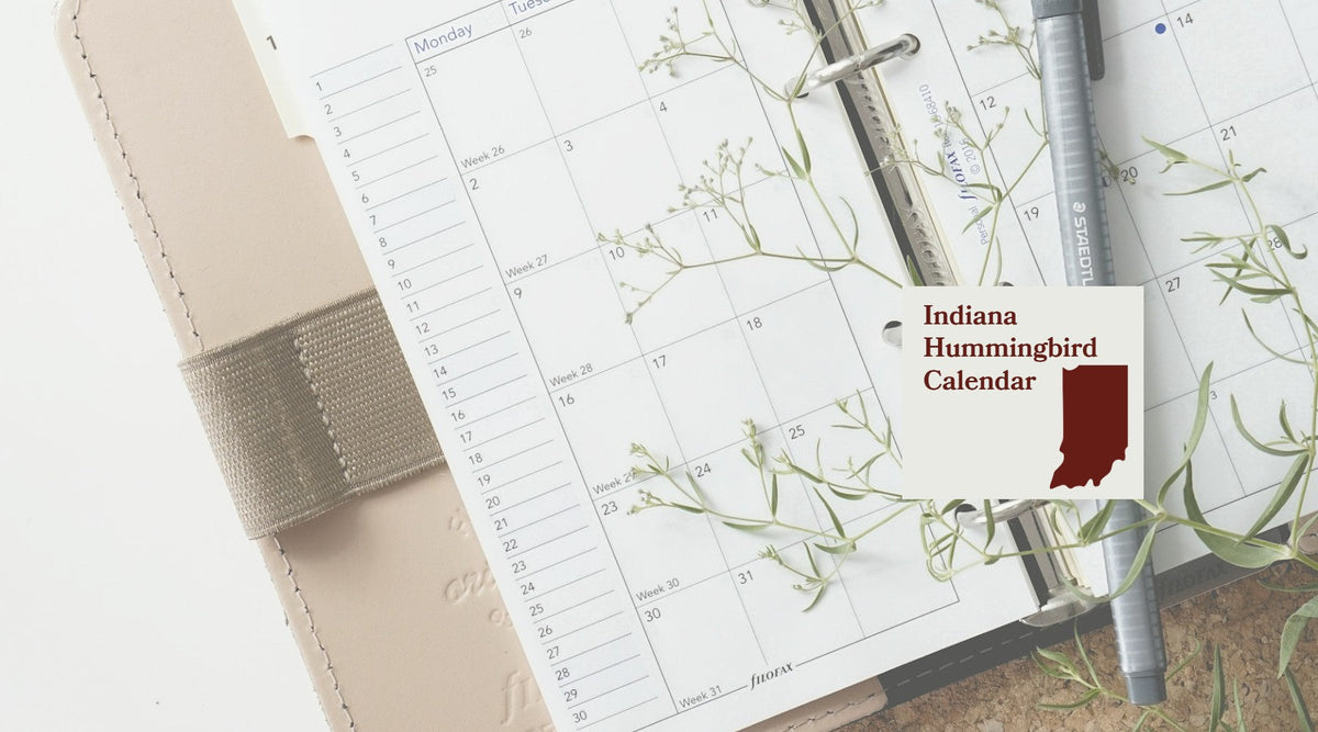 Indiana Hummingbird Season: A Month-by-Month Calendar