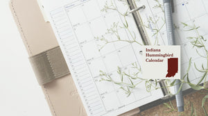 Indiana Hummingbird Season: A Month-by-Month Calendar
