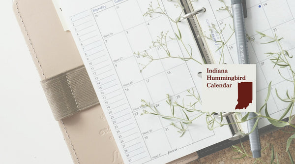 Indiana Hummingbird Season: A Month-by-Month Calendar