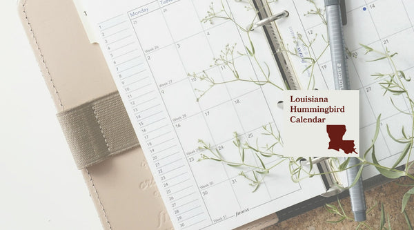 Louisiana Hummingbird Season: A Month-by-Month Calendar