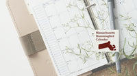 Massachusetts Hummingbird Season: A Month-by-Month Calendar