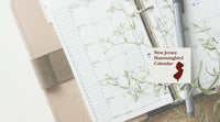 New Jersey Hummingbird Season: A Month-by-Month Calendar