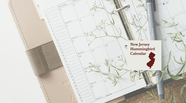 New Jersey Hummingbird Season: A Month-by-Month Calendar