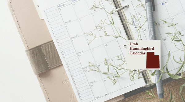 Utah Hummingbird Season: A Month-by-Month Calendar