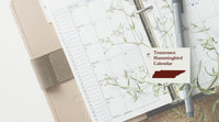Tennessee Hummingbird Season: A Month-by-Month Calendar