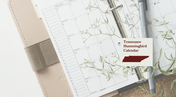 Tennessee Hummingbird Season: A Month-by-Month Calendar