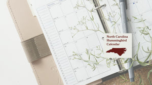 North Carolina Hummingbird Season: A Month-by-Month Calendar