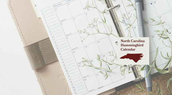 North Carolina Hummingbird Season: A Month-by-Month Calendar