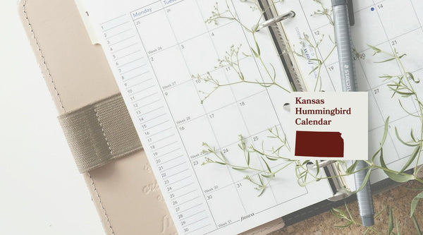 Kansas Hummingbird Season: A Month-by-Month Calendar