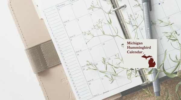 Michigan Hummingbird Season: A Month-by-Month Calendar