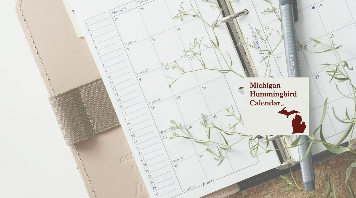 Michigan Hummingbird Season: A Month-by-Month Calendar
