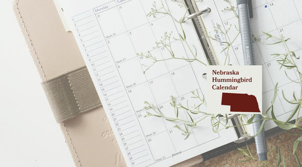 Nebraska Hummingbird Season: A Month-by-Month Calendar