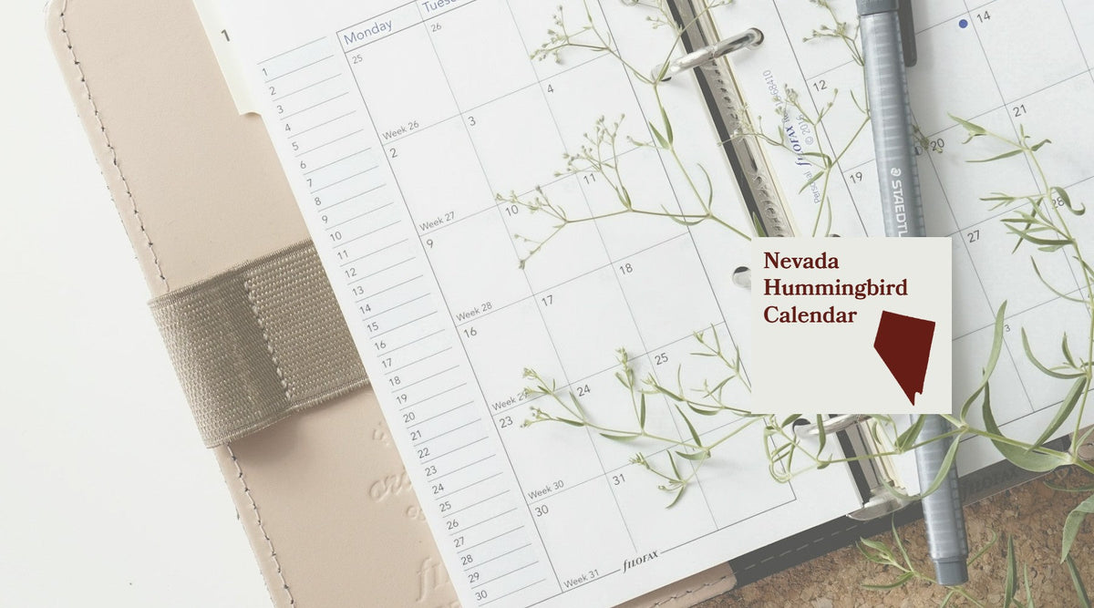 Nevada Hummingbird Season: A Month-by-Month Calendar