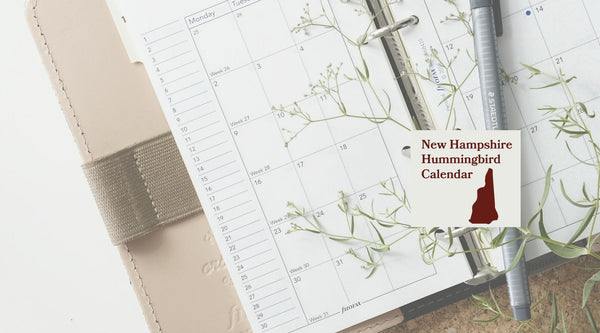 New Hampshire Hummingbird Season: A Month-by-Month Calendar