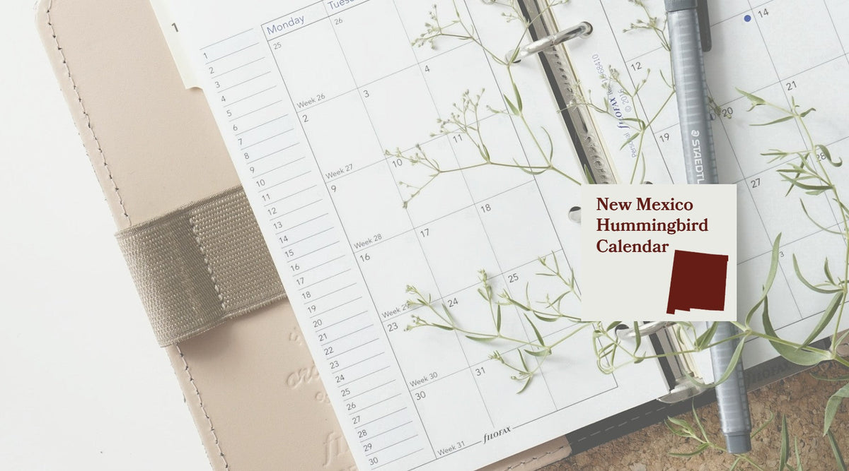 New Mexico Hummingbird Season: A Month-by-Month Calendar