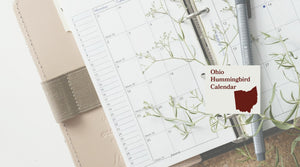 Ohio Hummingbird Season: A Month-by-Month Calendar