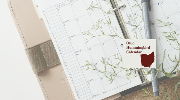 Ohio Hummingbird Season: A Month-by-Month Calendar