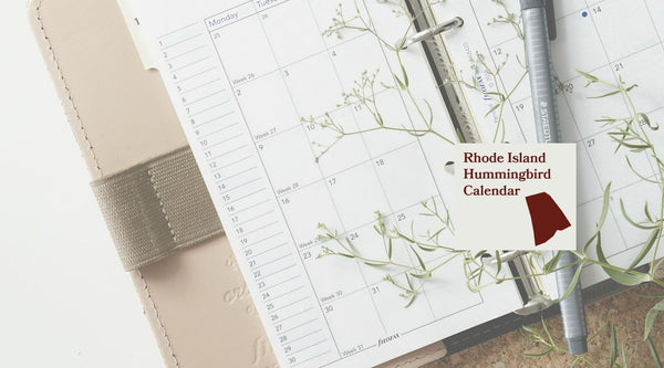 Rhode Island hummingbird calendar from Pop's Birding: when hummingbirds arrive and leave Rhode Island, month by month.