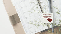 South Carolina Hummingbird Season: A Month-by-Month Calendar