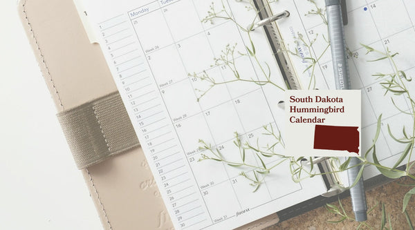 South Dakota Hummingbird Season: A Month-by-Month Calendar