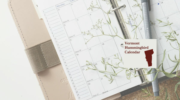 Vermont hummingbird calendar from Pop's Birding: when hummingbirds arrive and leave Vermont, month by month.