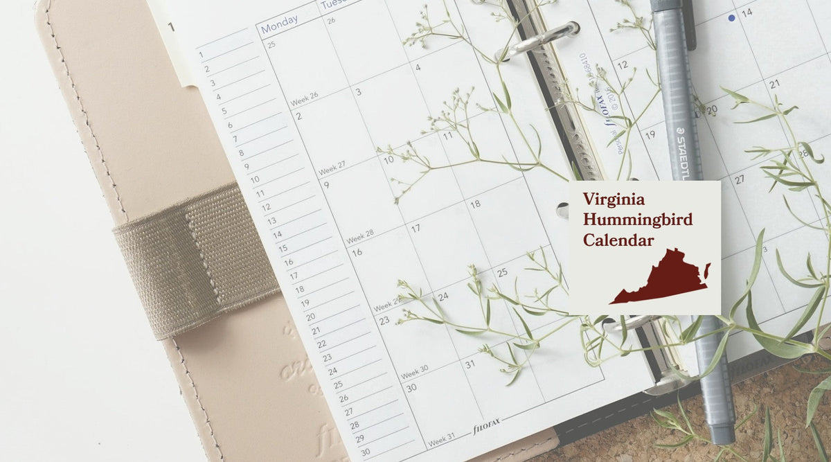 Virginia Hummingbird Season: A Month-by-Month Calendar