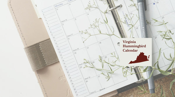 Virginia Hummingbird Season: A Month-by-Month Calendar