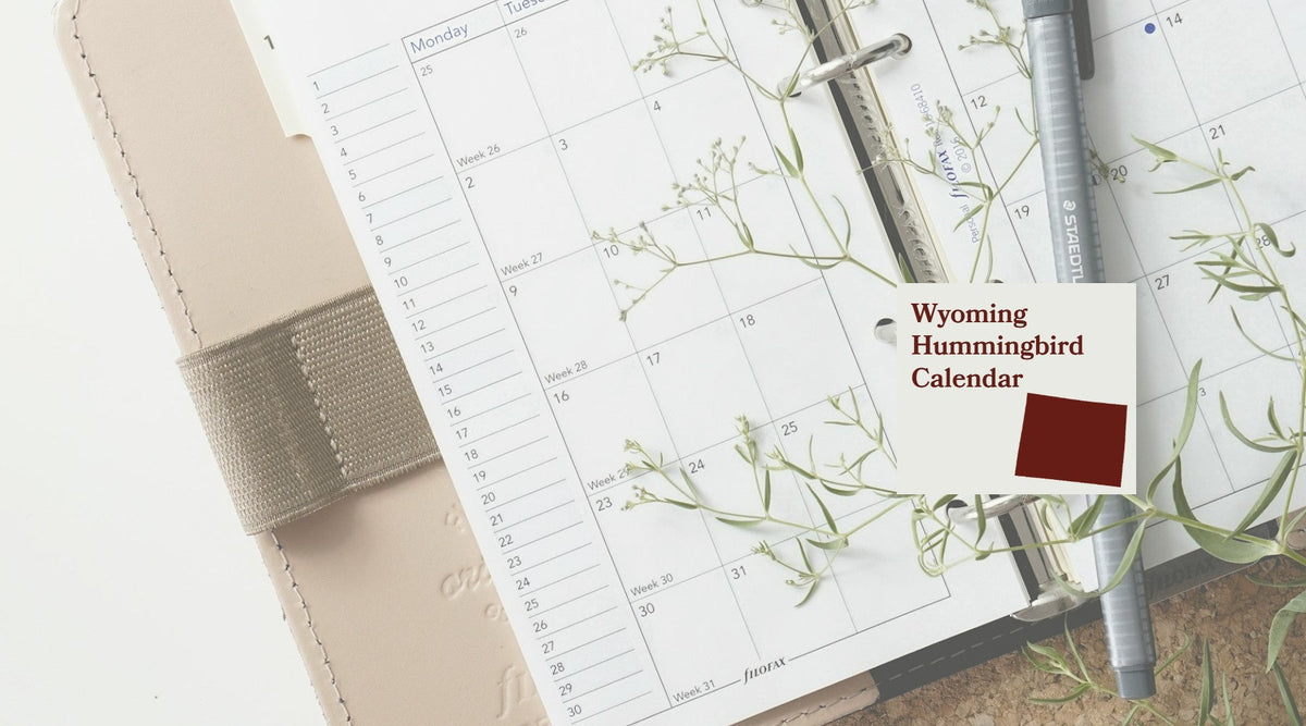 Wyoming Hummingbird Season: A Month-by-Month Calendar