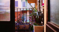 What Hummingbird Products Work Best on a Small Patio or Balcony?