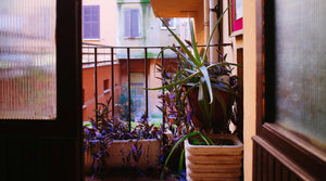 What Hummingbird Products Work Best on a Small Patio or Balcony?